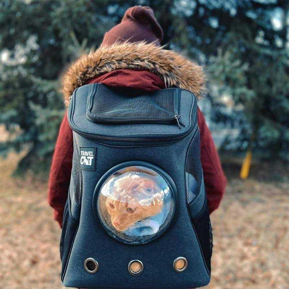 The Fat Cat Cat Backpack - Pet Supplies online store