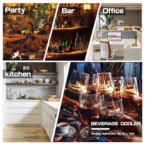 DOGHLY Beverage Refrigerator and Cooler, Mini Fridge with Glass Door, Digital Temperature Display for Soda, Beer or Wine For Office or Bar with Adjustable Removable Shelves