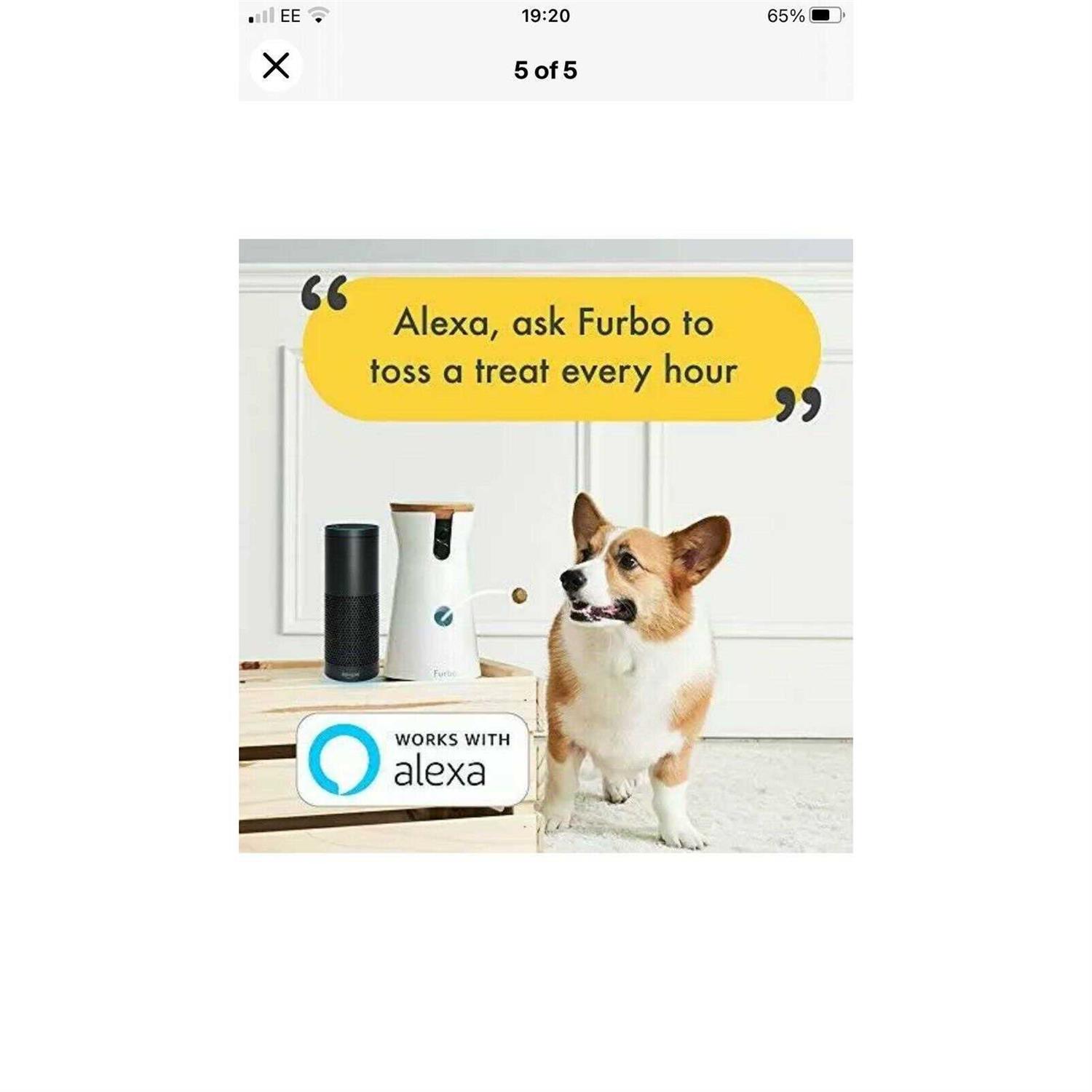 Furbo Dog Camera - Pet Supplies online store