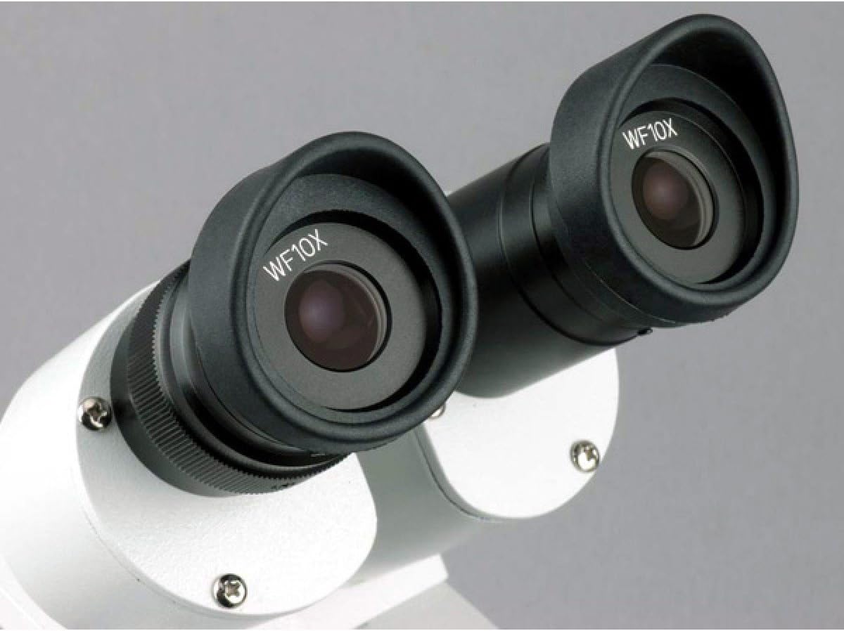 AmScope SE306-PZ Binocular Stereo Microscope, WF10x and WF20x Eyepieces, 20X/40X/80X Magnification, 2X and 4X Objectives, Upper and Lower Halogen Lighting, Reversible Black/White Stage Plate, Pillar Stand, 120V