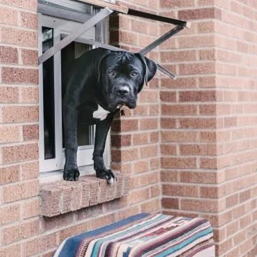 Endura Flap Thermo Sash 3E Pet Door Color: Bronze, Flap Size: Large