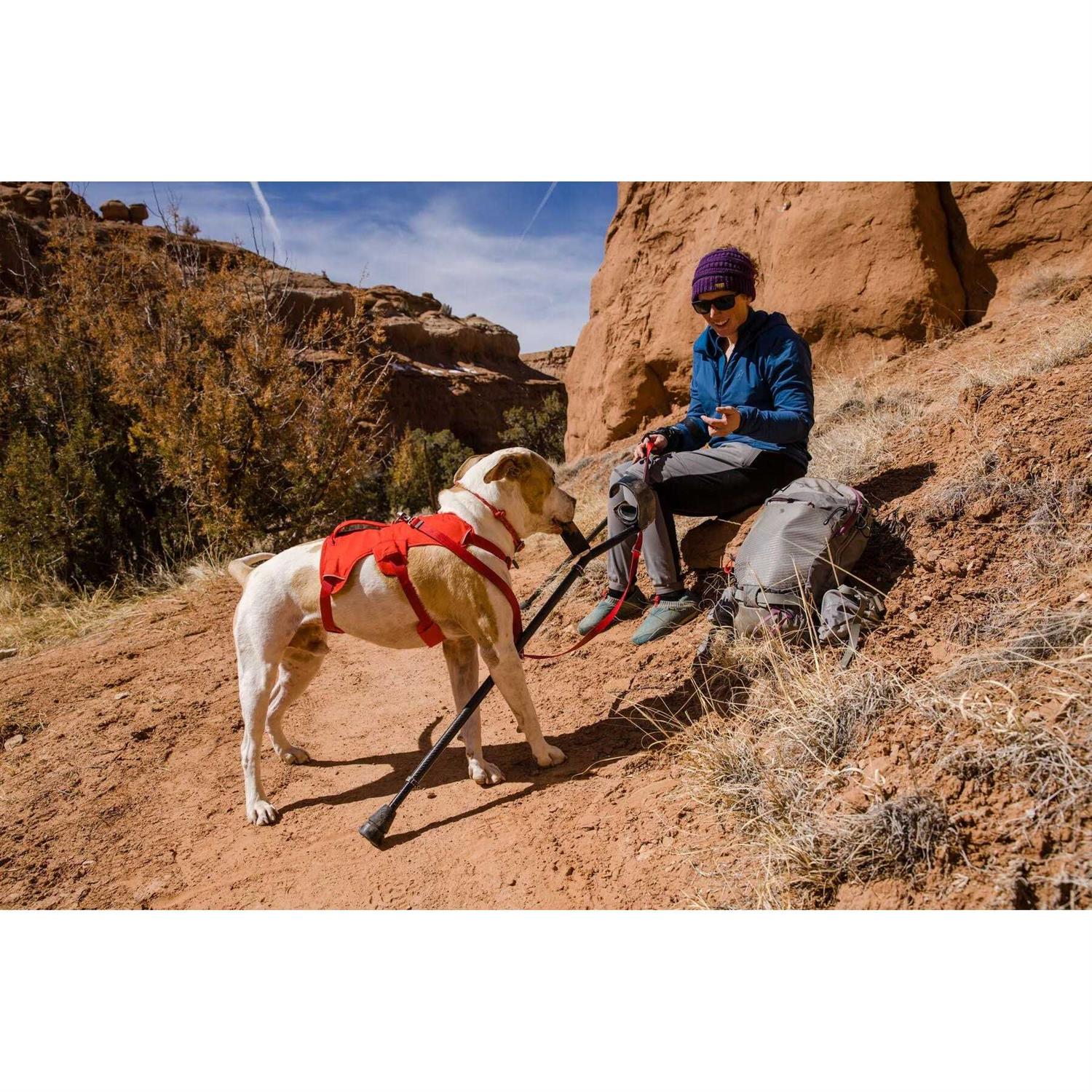 Ruffwear Harness Web Master - Pet Supplies online store