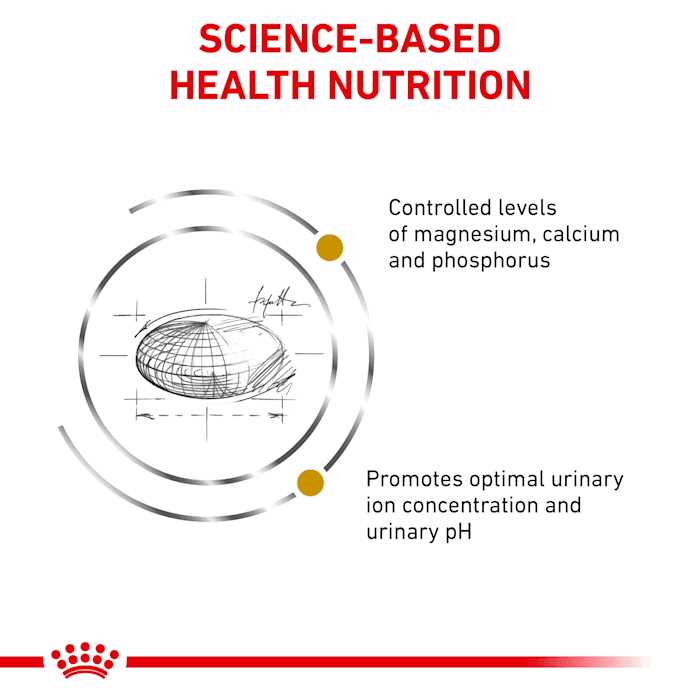 Royal Canin Veterinary Diet Cat Food - Pet Supplies online store