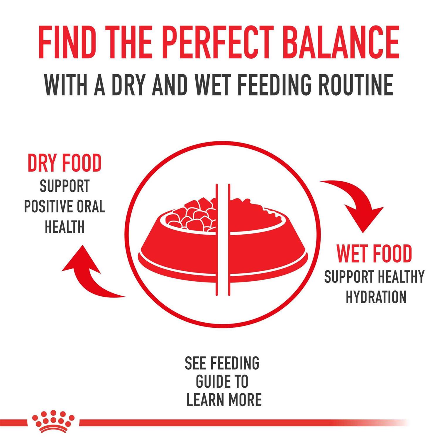Royal Canin Breed Health Nutrition Boxer Puppy Dry Dog Food - Pet Supplies online store