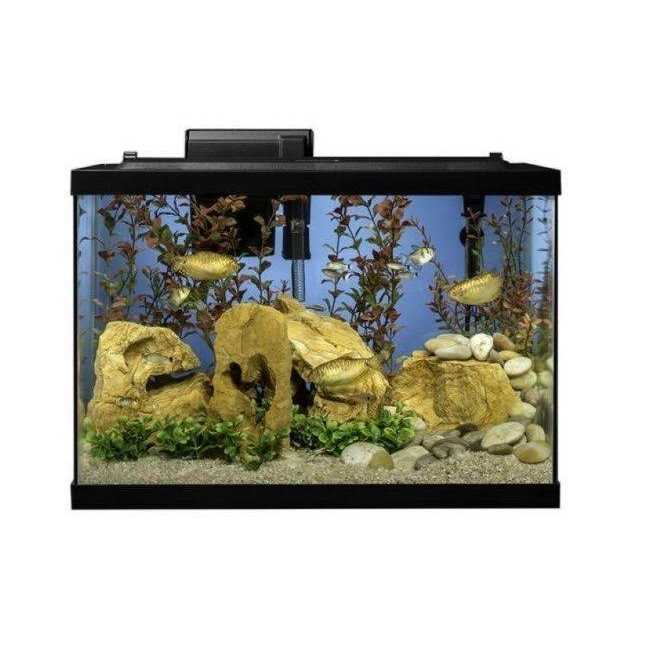 Tetra NV33821 Aquarium 20 Gallon Fish Tank Kit - Pet Supplies online store