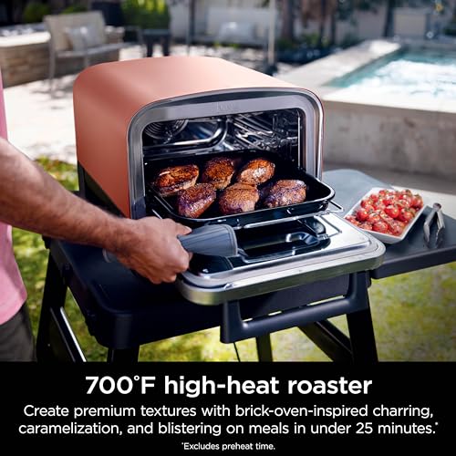Ninja Woodfire Pizza Oven, 8-in-1 outdoor oven, 5 Pizza Settings, Ninja Woodfire Technology, 700°F high heat, BBQ smoker, wood pellets, pizza stone, electric heat, portable, terracotta red, OO101