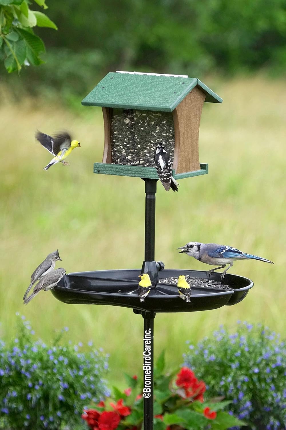 Seed Catcher Tray for Wild Bird Feeders, fits only 1-INCH STRAIGHT BIRDING pole (outside diameter), pole and feeder NOT included Pack of 2