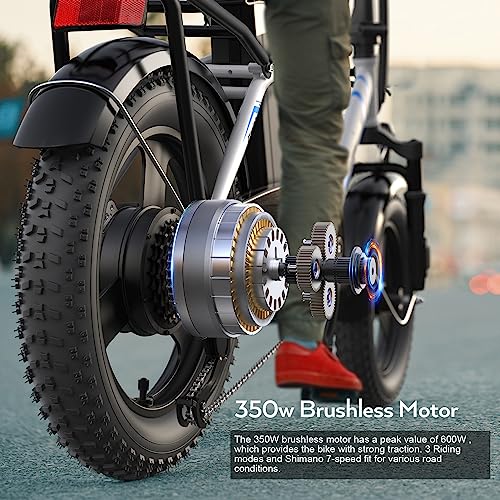 Vivi Gopina Electric Bike, 16" x 3.0 Fat Tire Electric Bike, 350W Step Thru Electric Bicycle, 48V Removable Battery, Up to 40 Miles, LCD Display, 20mph, 7 Speed, UL 2849 Certification