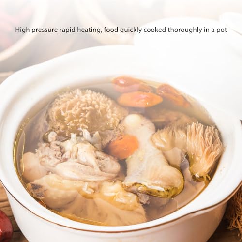 Stainless Steel Pressure Cooker, 2 Gear Pressure Cooking Pot Stainless Steel Pressure Canner with Foldable Handle Universal Pressure Cooking Pot for Induction Gas Stove Open Flame