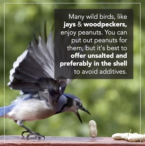 Wildlife Feed Raw Peanuts (50 LBS) - Our in-Shell Peanuts are The Ideal Critter Food to Attract Squirrels, Birds, Deer and Other Diverse Wildlife.
