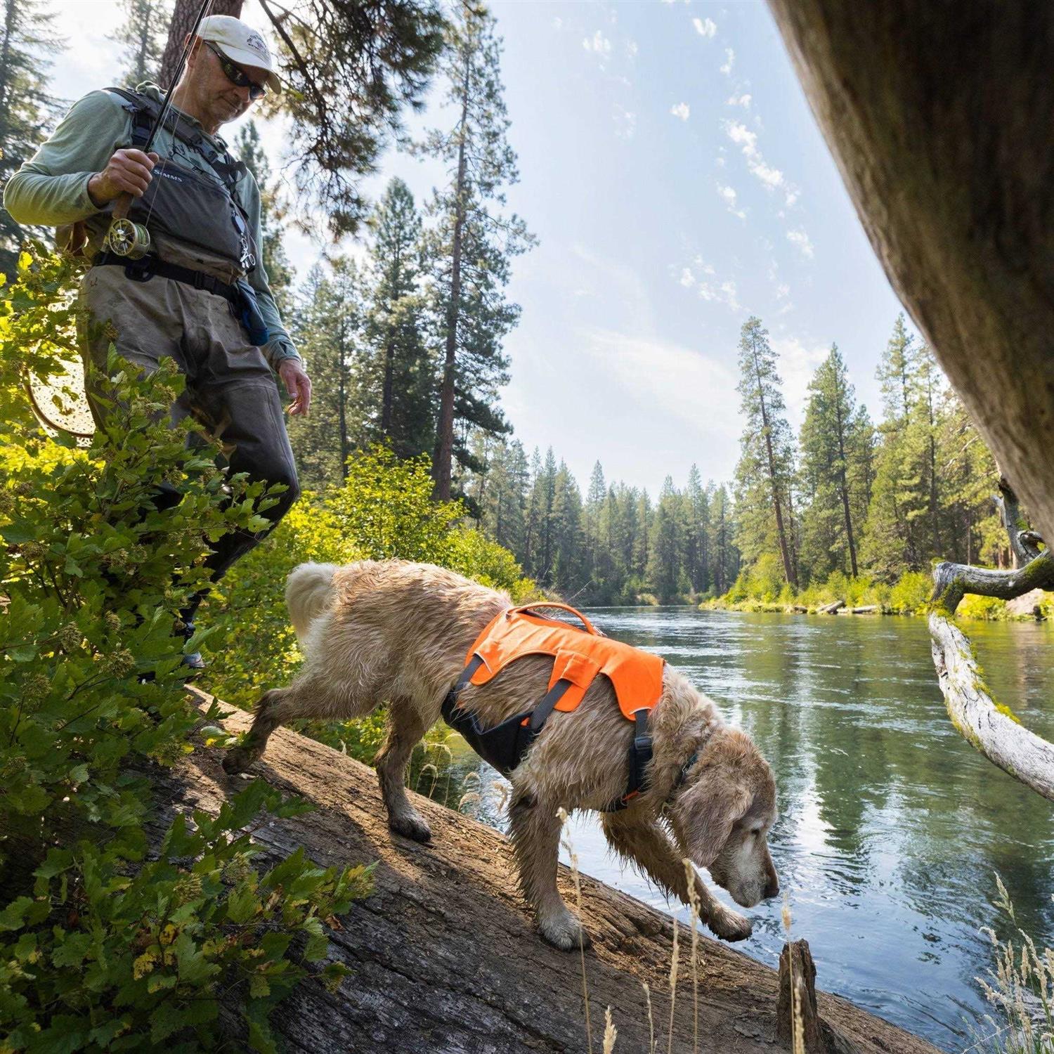 Ruffwear Harness Web Master - Pet Supplies online store