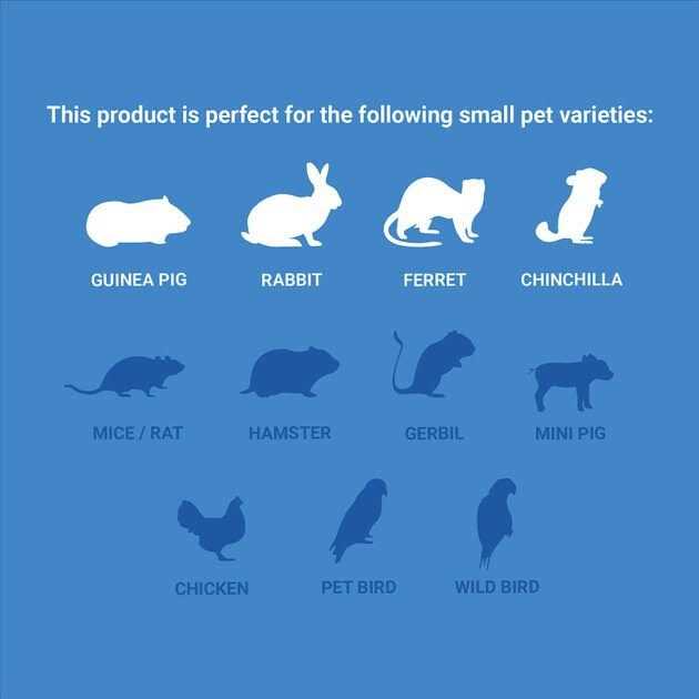Frisco Small Animal Cage - Pet Supplies online store