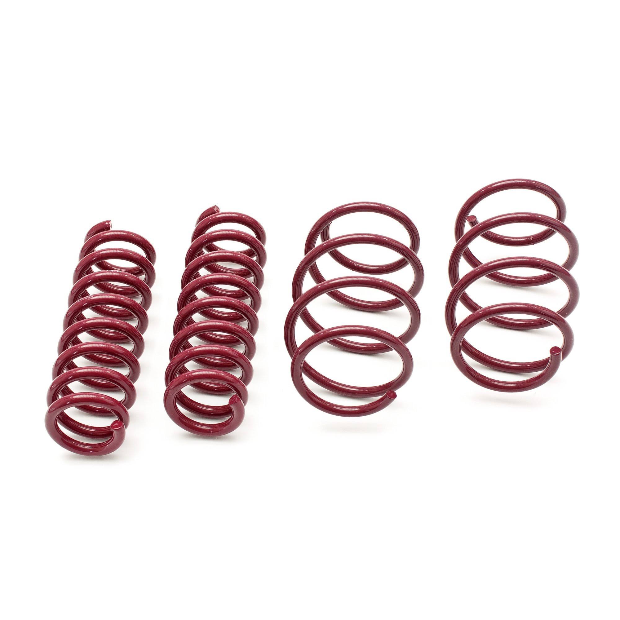Vogtland 952085 Sport Lowering Spring Kit