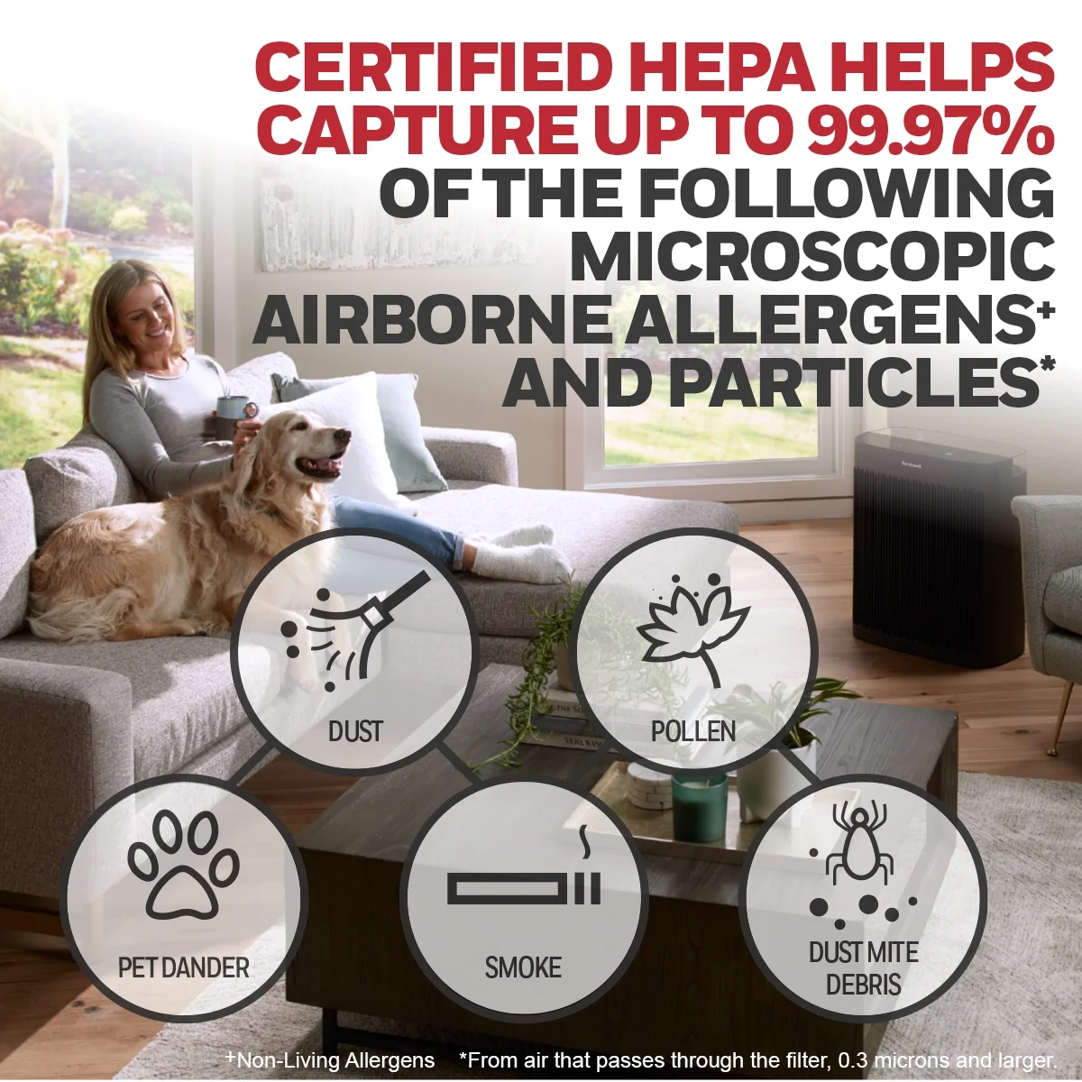 Honeywell Air Purifier, HPA5300B, 500 sq ft, HEPA Filter,  Allergen, Smoke, Pollen, Dust Reducer