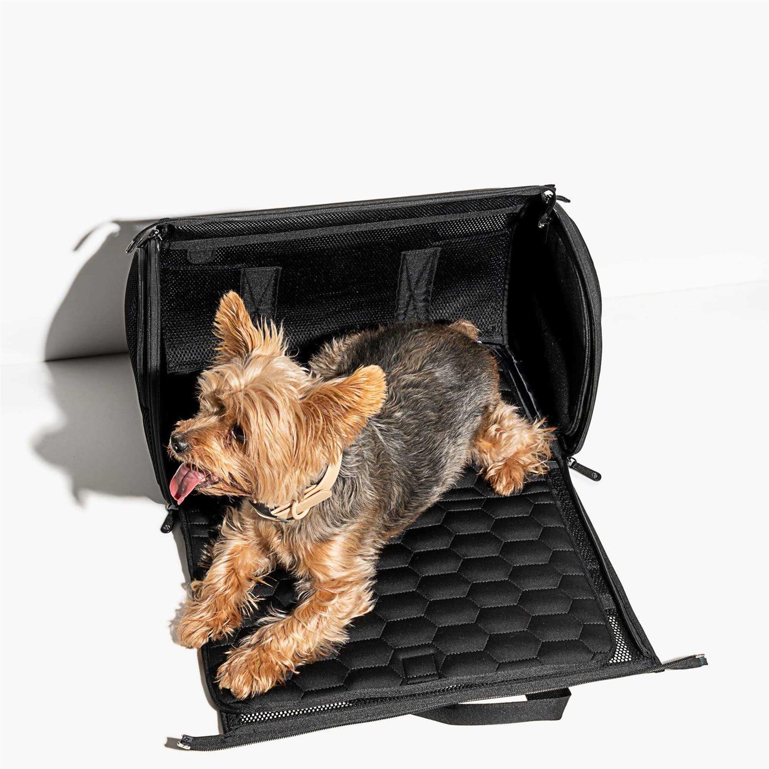 Wild One Travel Carrier - Pet Supplies online store