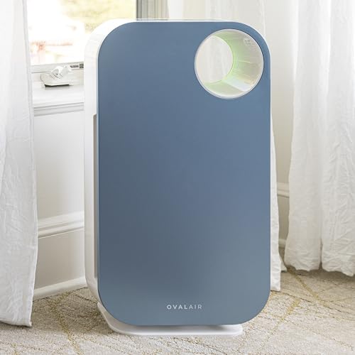 OVAL AIR AIR1000D 3-Stage H13 True HEPA 5-in-1 Air Purifier For Allergens,Dust,Pets,Allergies,Odor,Smoke,Pollen, Rooms up to 600 sq. ft