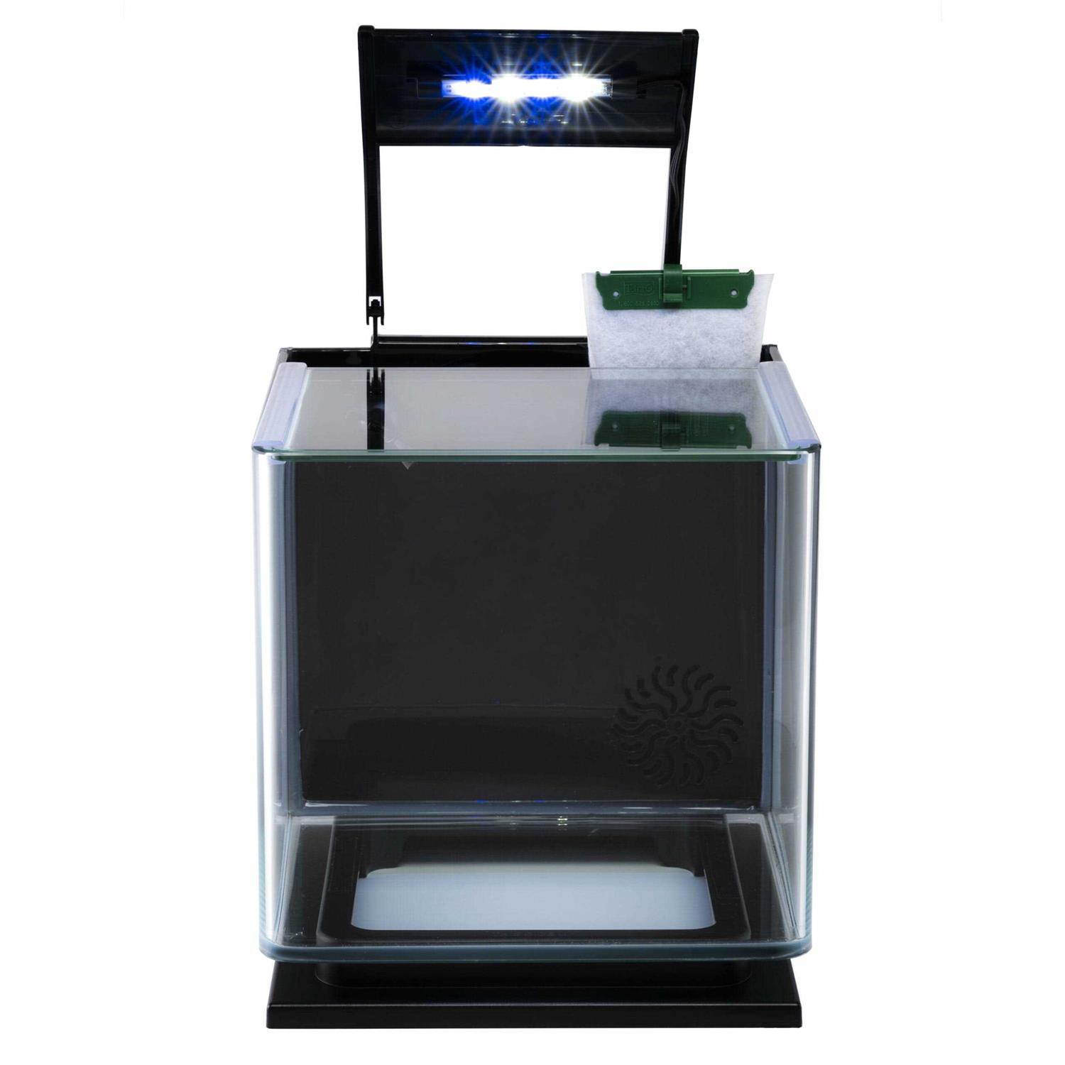 Glofish Betta Aquarium Kit 3 Gallons, Includes LED Lighting and Filter - Pet Supplies online store
