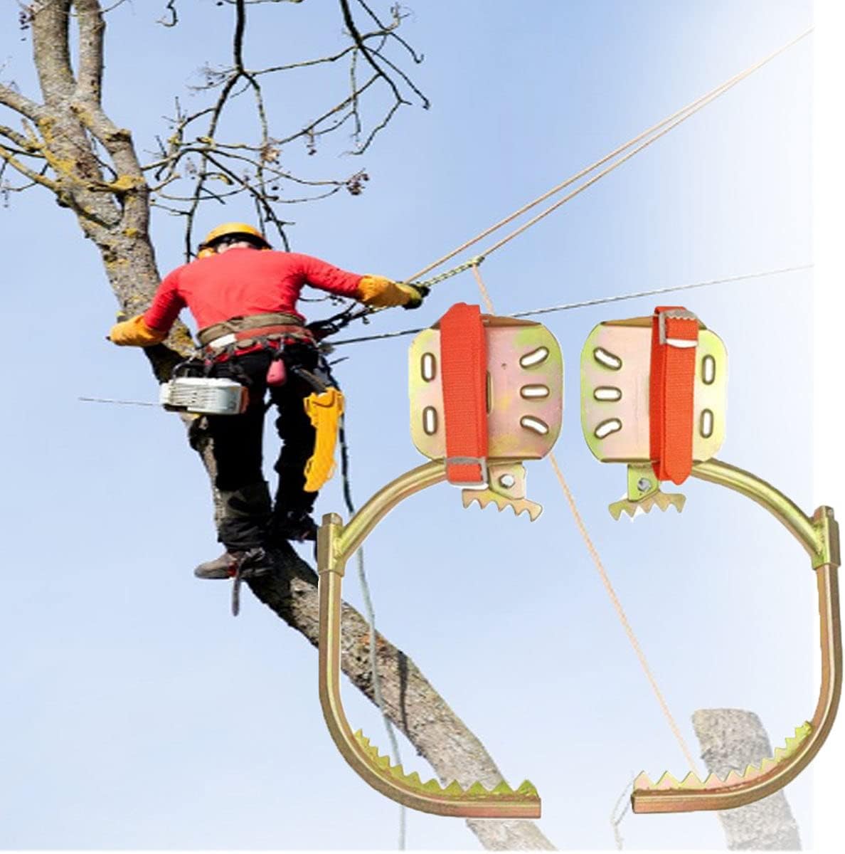 Tree Climbing Gear, Pole Climbing Spikes Adjustable Climbing Tree Shoes Non-Slip Pedal, 304 Stainless Steel Tree Climbing Tool for Hunting Observation, Picking Fruit,600Model