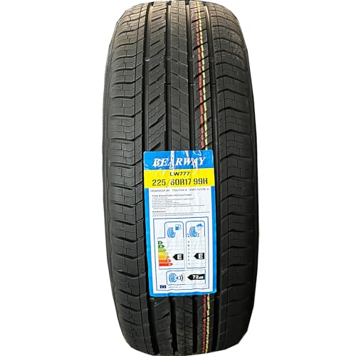 All Season Radial Tire 225/60R17 4PR+BW 99H (225/60R17)