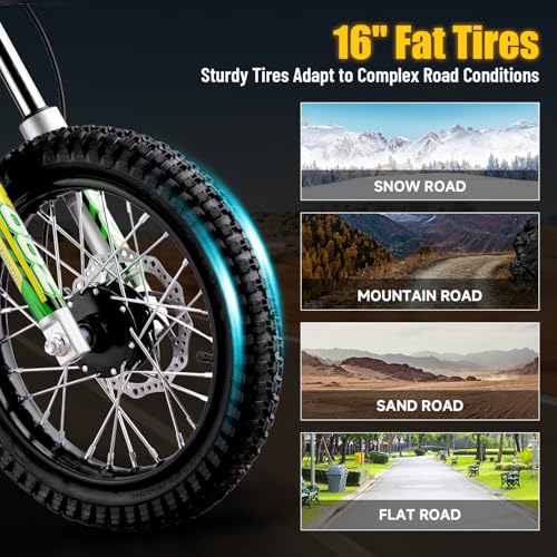 KOOZ HP112E 36V 1000W Electric Dirt Bike for Kids, 3 Speed Modes Teen Electric Motorcycle Up to 18 MPH & 15 Miles Long-Range, Dual Suspension & Disc Brake, 16" Sturdy Tire for Kids Teenagers, Orange