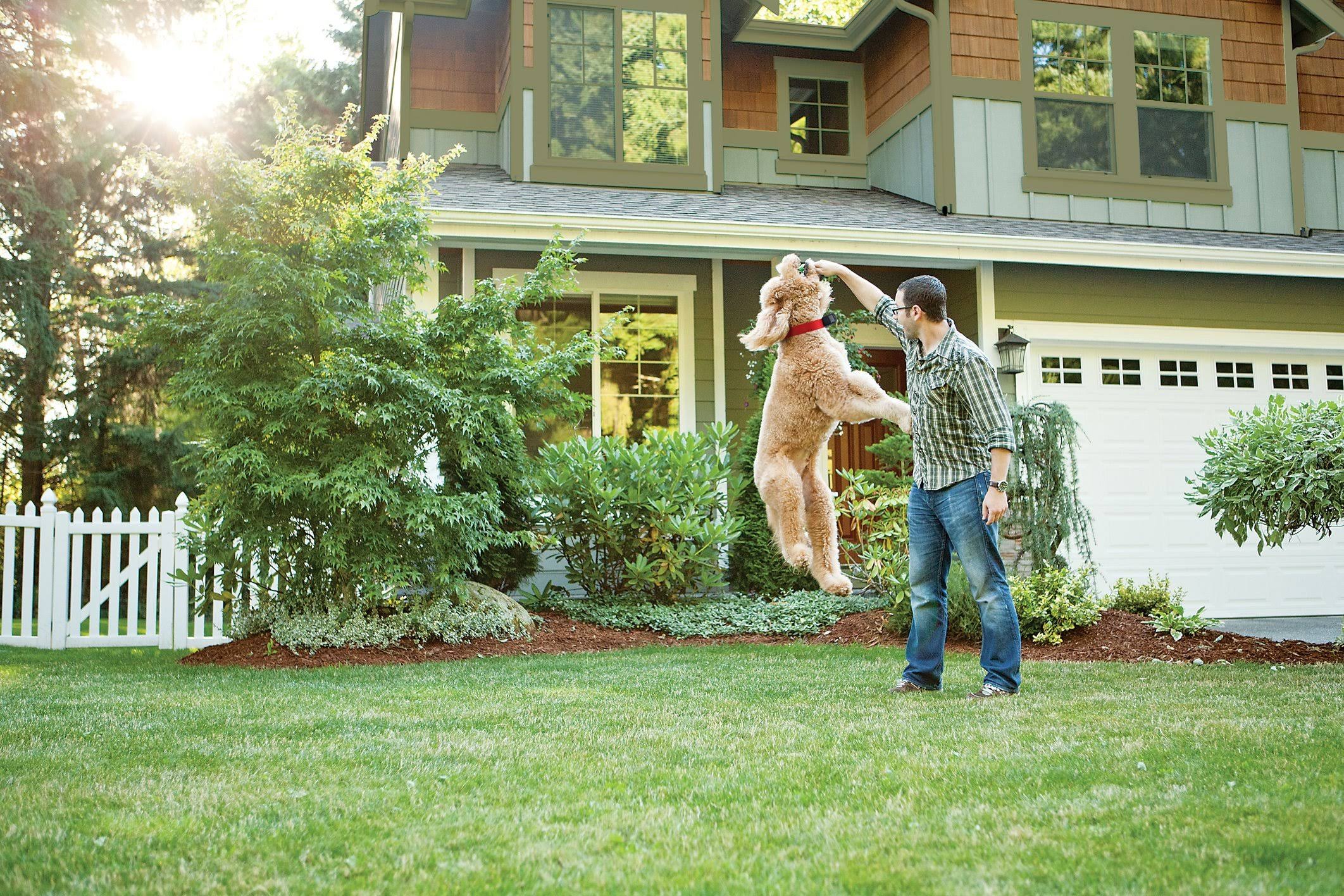 PetSafe Wireless Pet Containment System