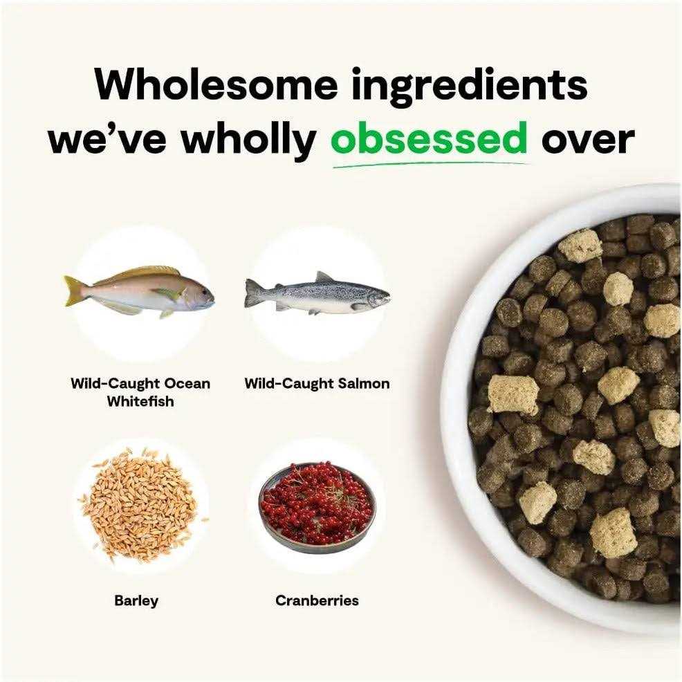 Open Farm Wild Ocean Ancient Grains RawMix Dog Food - Pet Supplies online store