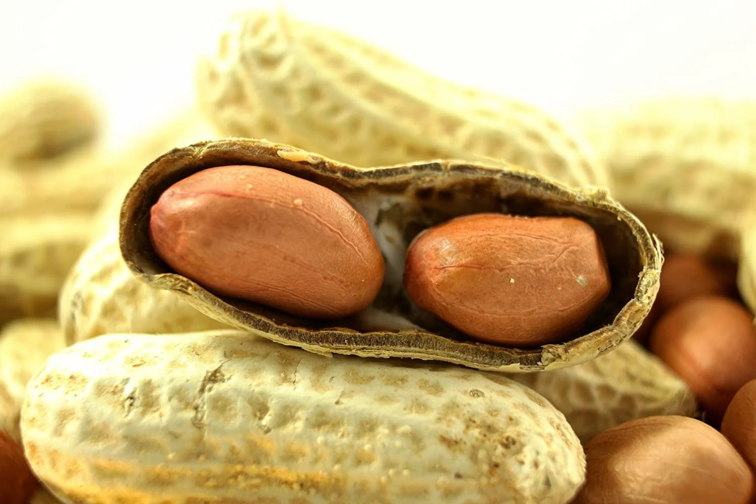 Wakefield Extra Large Virginia Peanuts for Animals, 50 LBS
