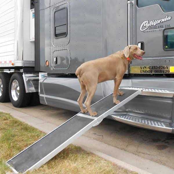 8 ft. Lightweight Portable Folding Aluminum Pet Ramp - Pet Supplies online store