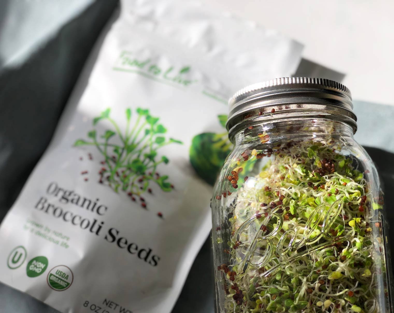 Food to Live Organic broccoli Seeds for Sprouting (8 Pounds)