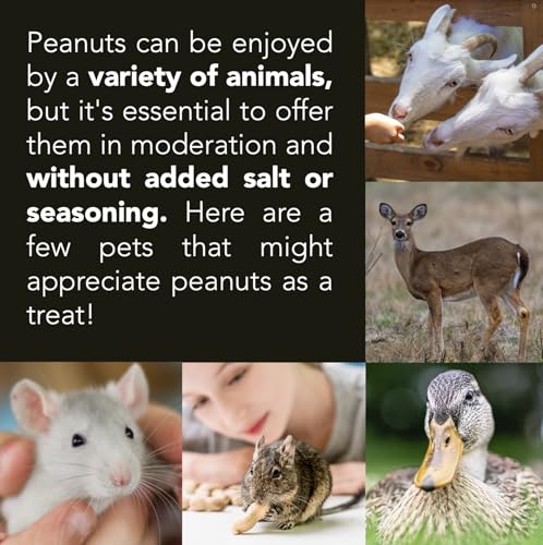Wildlife Feed Raw Peanuts (50 LBS) - Our in-Shell Peanuts are The Ideal Critter Food to Attract Squirrels, Birds, Deer and Other Diverse Wildlife.