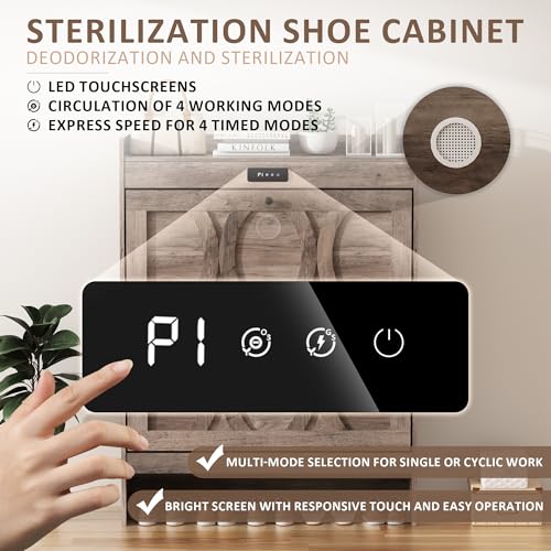 Intelligent 2 Flip Drawers Shoe Storage Cabinet, Rustic White