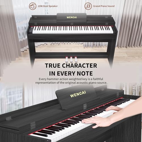 88 Key Fully Weighted Digital Piano Keyboard, 88 Keys Hammer Action Electric Pianos, Wooden Classic Upright Electronic Piano for Beginner, Professional, Midi Compatible, Triple Pedal (Black)