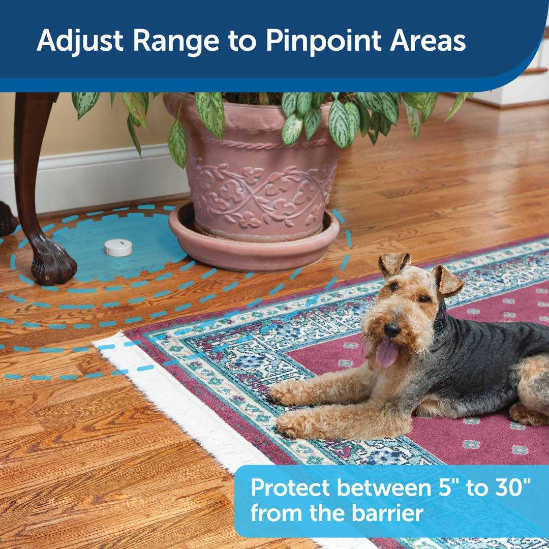 PetSafe Pawz Away Mini Pet Barrier - Pet Supplies online store