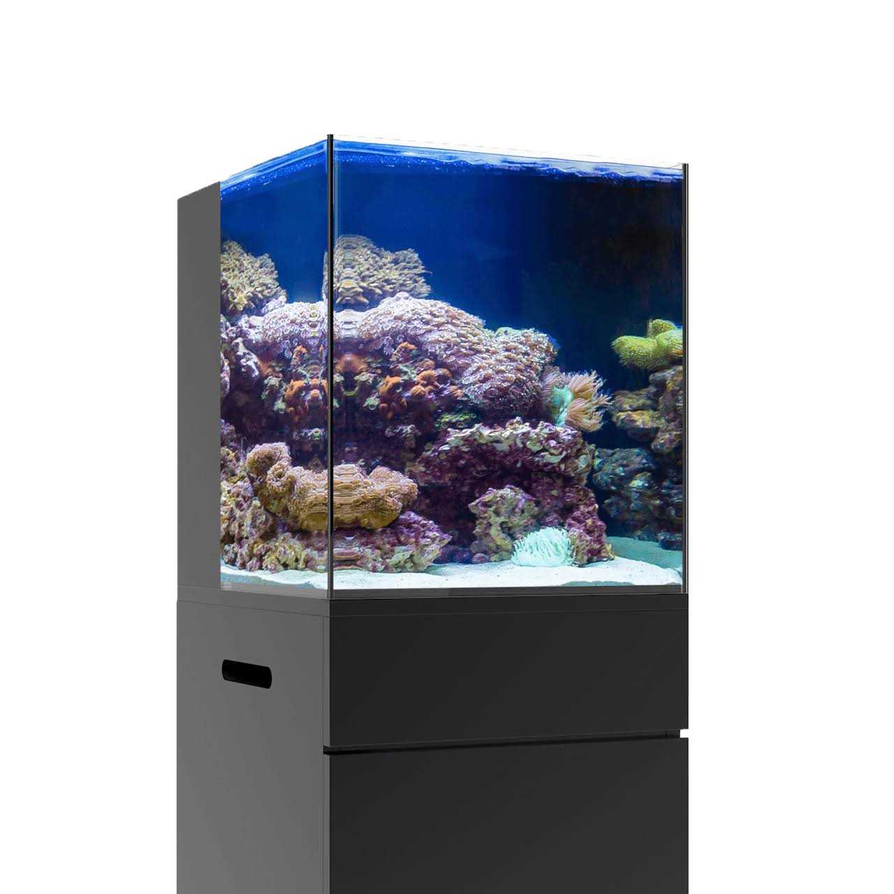 JBJ Nano Rimless AIO Aquarium - Pet Supplies online store