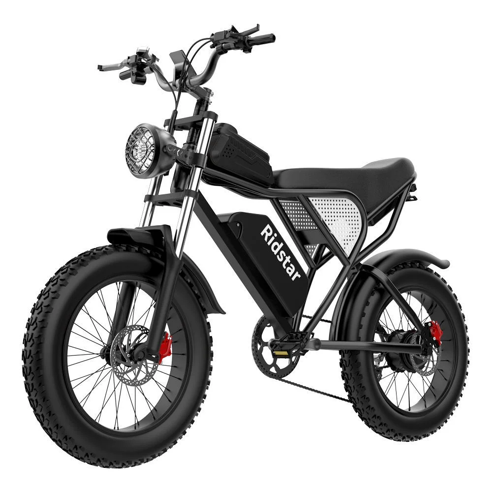 Electric City Bike with 20" Fat Tires and 7-Speed Gears - 99.21 - Ride with speed and style on this powerful electric city bike! - Curated Treasures Market