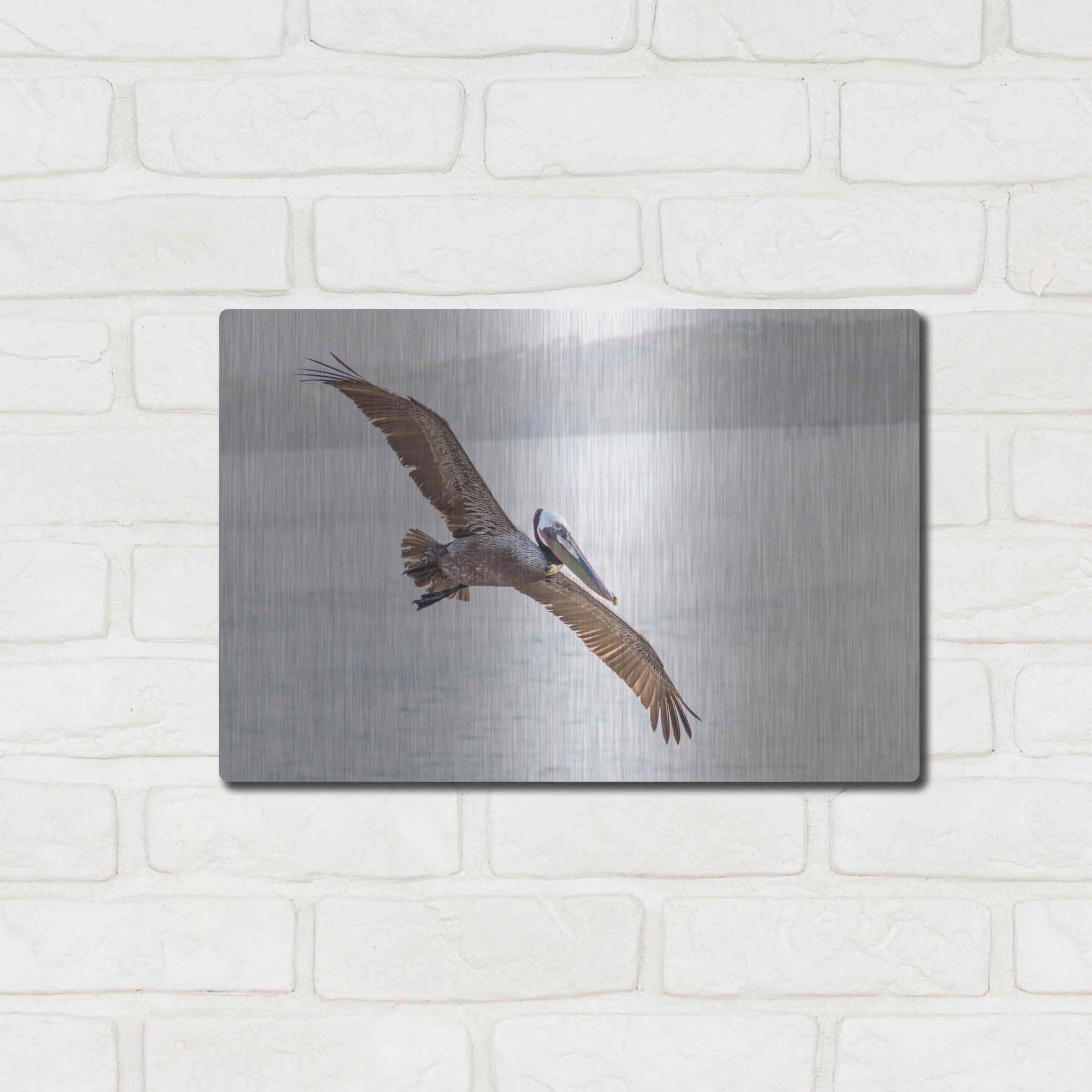 Luxe Metal Art 'Pelican Spread' by Chris Moyer, Metal Wall Art, 16"x12"