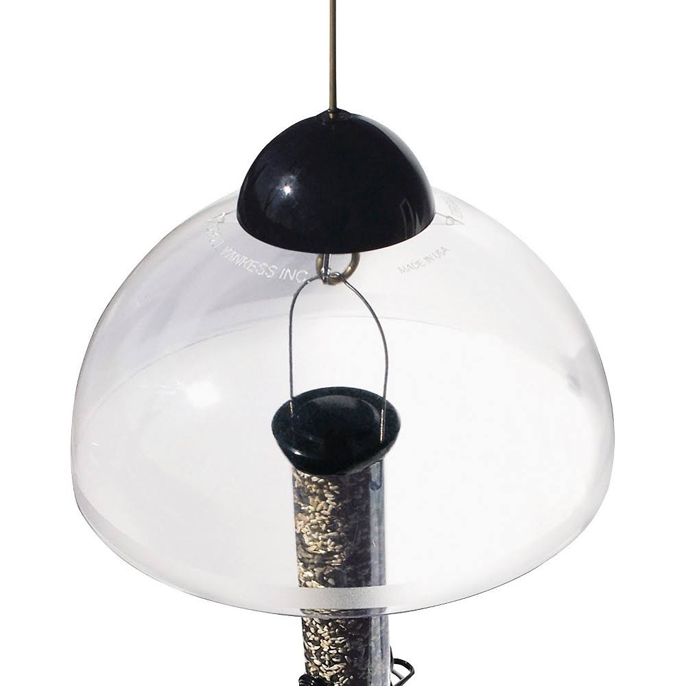 Droll Yankees Squirrel Guard Black