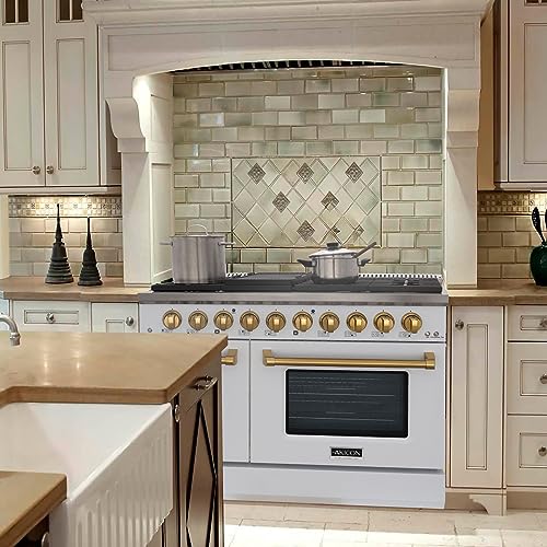 Akicon 48 Inch Freestanding Gas Range - 6.7 cu. ft. Double Rapid Convection Gas Oven with Blue Porcelain Interior - Gas Stove with 8 Sealed Burners & a Griddle, Heavy Duty Cast Iron Grates