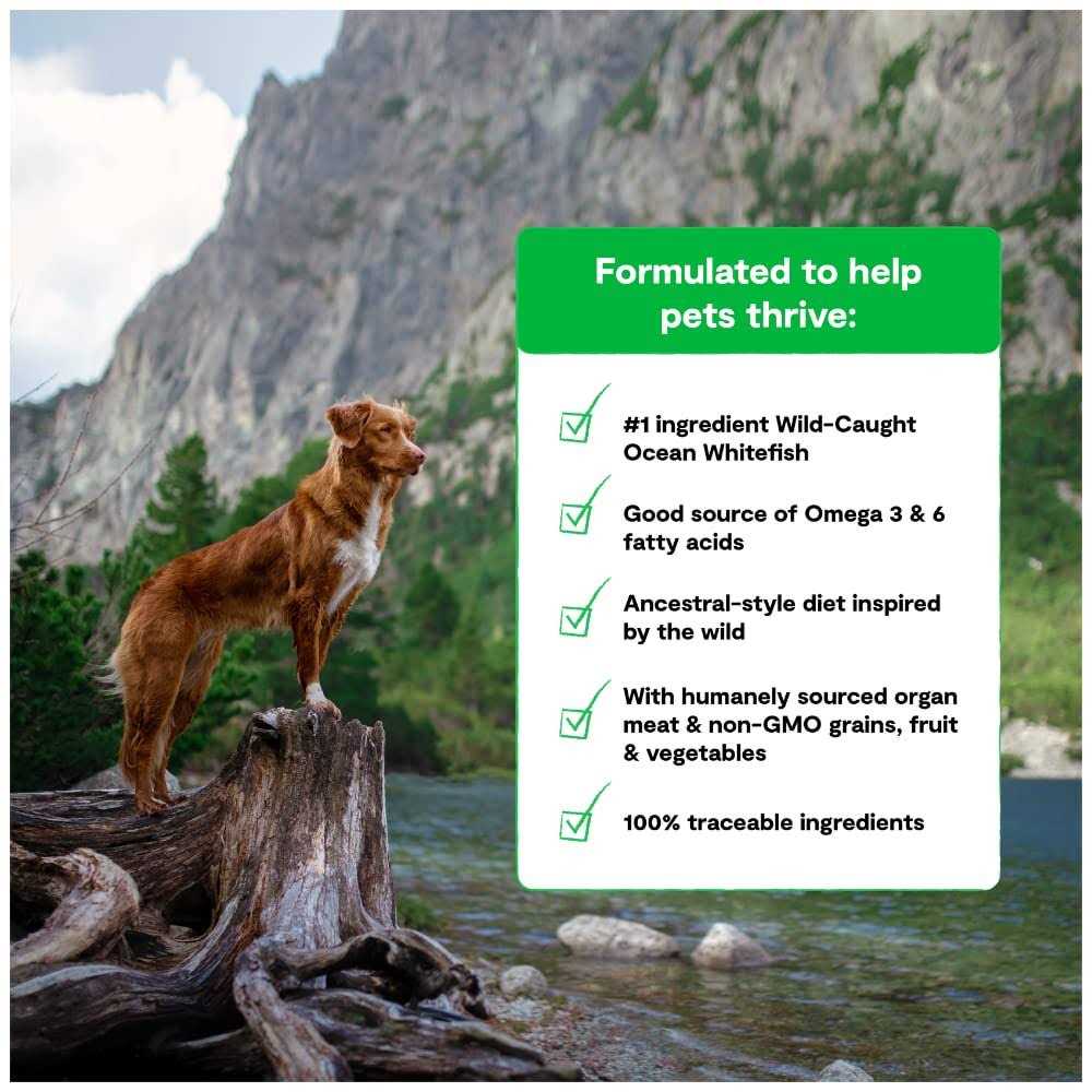 Open Farm Wild Ocean Ancient Grains RawMix Dog Food - Pet Supplies online store