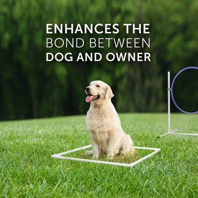 Better Sporting Dogs 7 Piece Deluxe Dog Agility Equipment Set 0219B - Pet Supplies online store
