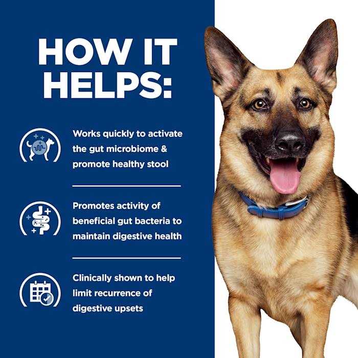Hill's Prescription Diet Gastrointestinal Biome Digestive/Fiber Care Chicken &amp; Vegetable Stew Wet Dog Food - Pet Supplies online store