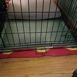 Pinnacle Systems Midwest Metal Replacement Dog Crate Pan Chew Proof Crack Proof Pet Kennel Tray Midwest Central Dog Crate Pan Pet - Pet Supplies online store