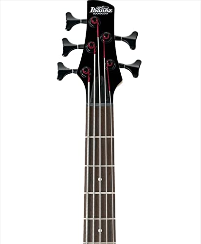 Ibanez 5 String Bass Guitar, Right, Walnut (GSR205BWNF)