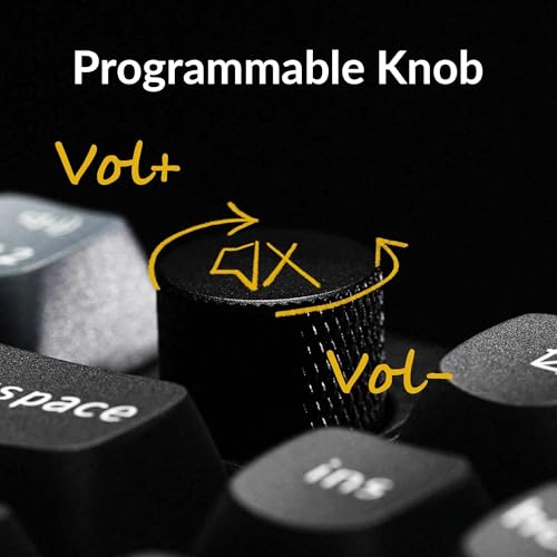Keychron Q3 Wired Custom Mechanical Keyboard Knob Version, TKL QMK/VIA Programmable Macro with Hot-swappable Gateron G Pro Blue Switch Double Gasket Compatible with Mac Windows Linux (Black)