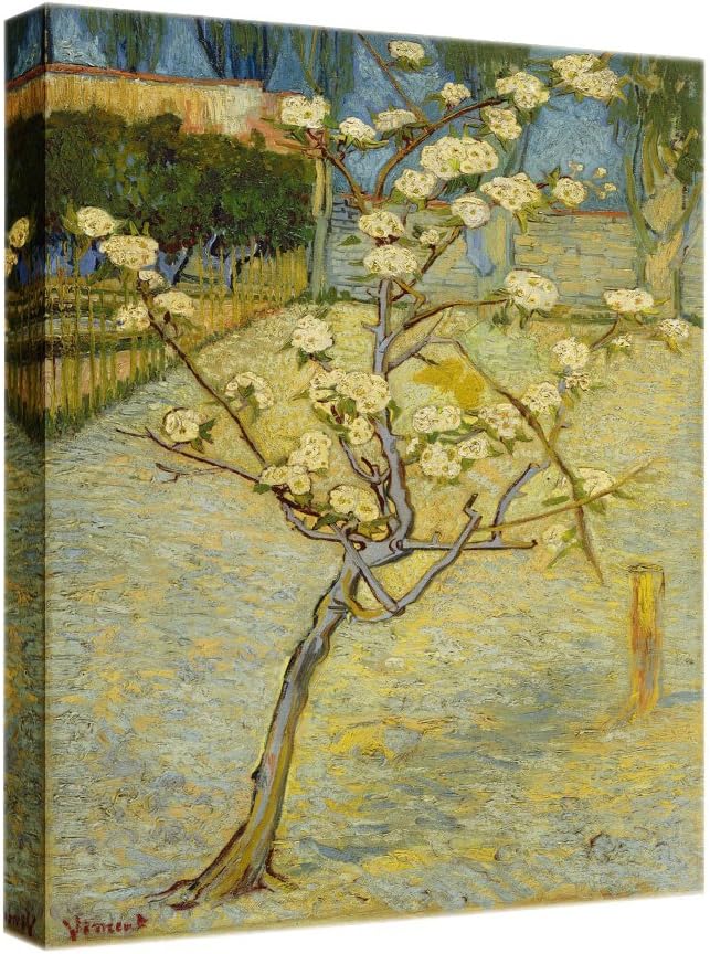 Eliteart - Starry Night Over The Rhone by Vincent Van Gogh Giclee Art Canvas Prints- Framed Size:27 3/5 x34 3/5