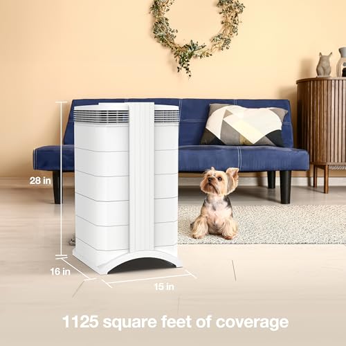 IQAir HealthPro Compact XE Air Purifier - Compact HyperHEPA Fration for Rooms up to 1240 sq ft - Allergens, Smoke, Dust, Mold, Pet Dander, Swiss Made, WiFi Enabled