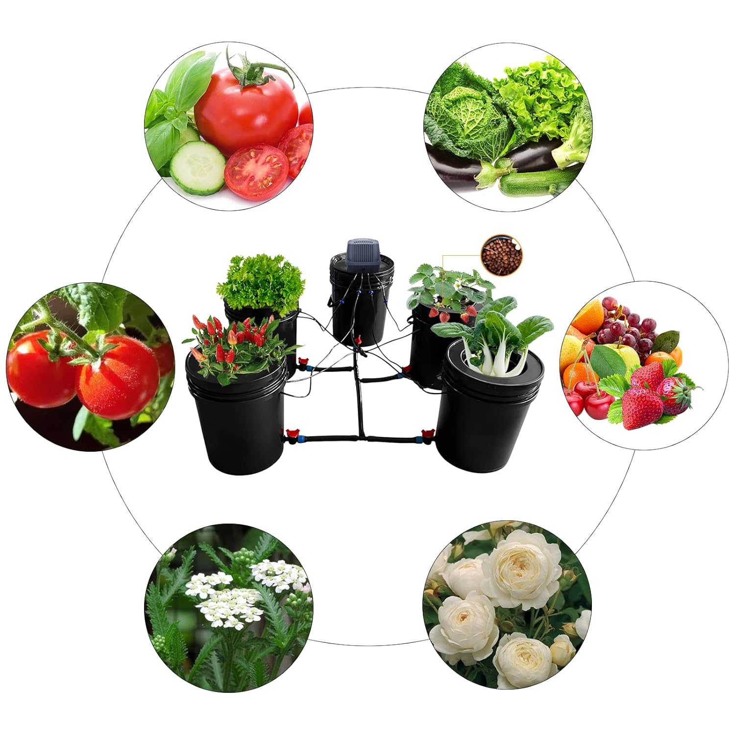 5-Gallon Deep Water Culture Hydroponics Grow System Kit with 5 Buckets, Recirculating Design, and Reservoir for Greenhouse and Indoor Growing – Ideal for Vegetables, Garden, and Balcony