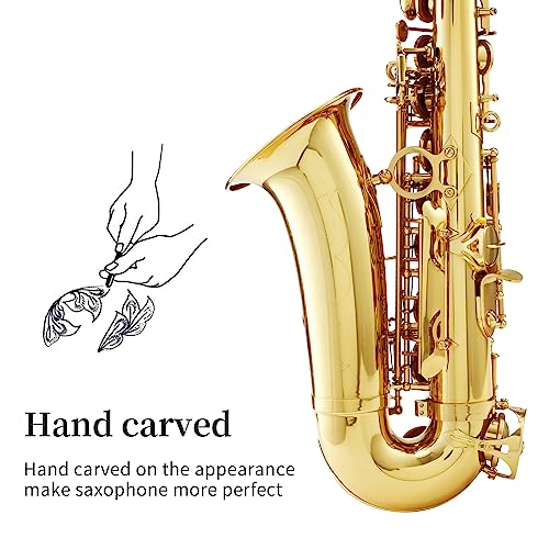 LeSage Alto Saxphone E Flat Black Saxophone for Beginners Student Alto Sax With Carrying Sax Case Adult Saxofon Alto Saxaphone Music Instrument