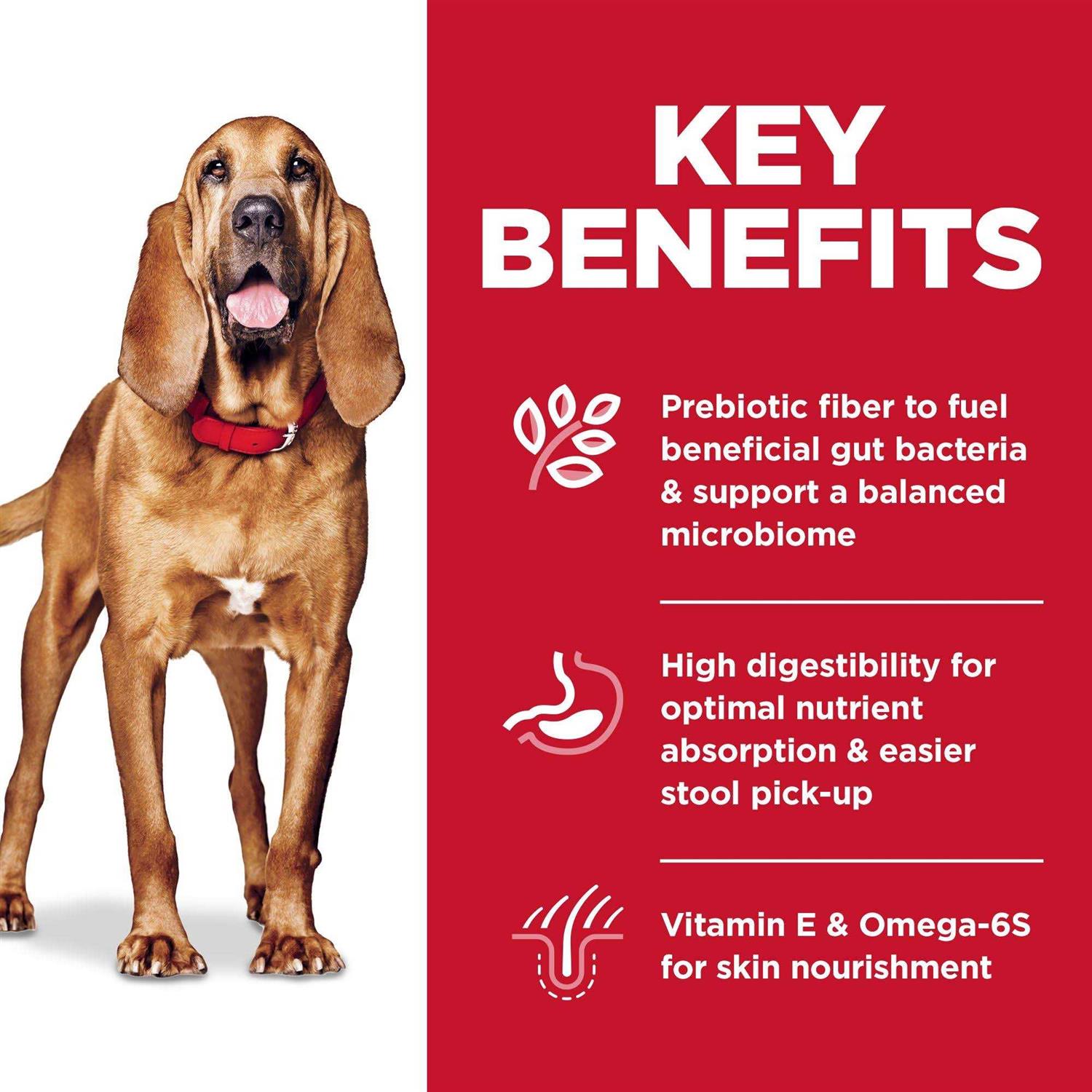 Hill's Science Diet Adult Sensitive Stomach &amp; Skin Chicken Recipe Large Breed Dry Dog Food - Pet Supplies online store
