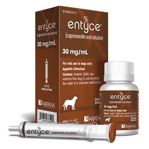 Entyce Oral Solution 30mg/ml - Pet Supplies online store